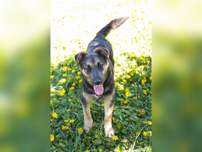 Anni – liebt Wasser