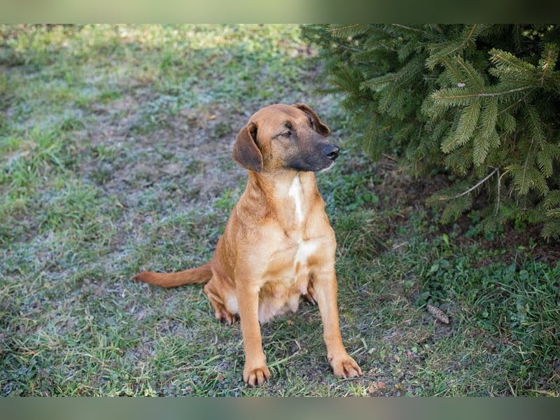 Hazel: Freundlich und voller Hoffnung