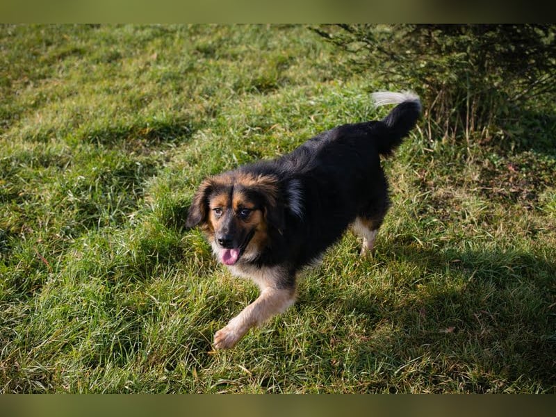 Namira: Fröhliche Seele sucht Heimat