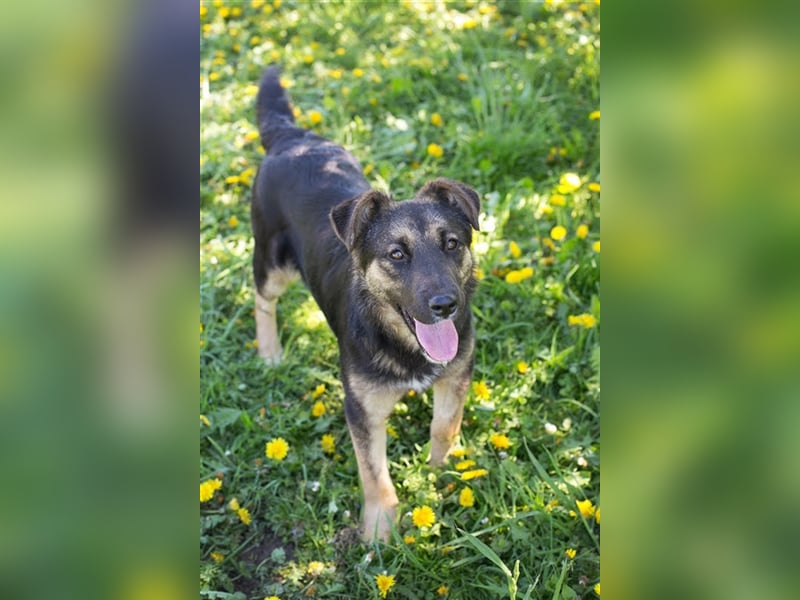 Anni – liebt Wasser