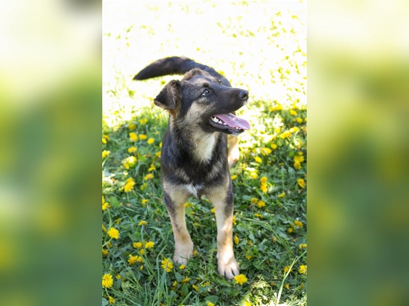 Anni – liebt Wasser