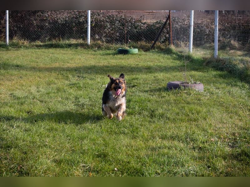 Namira: Fröhliche Seele sucht Heimat