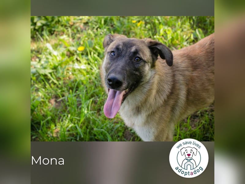 Mona: Fröhliche Spaßkanone