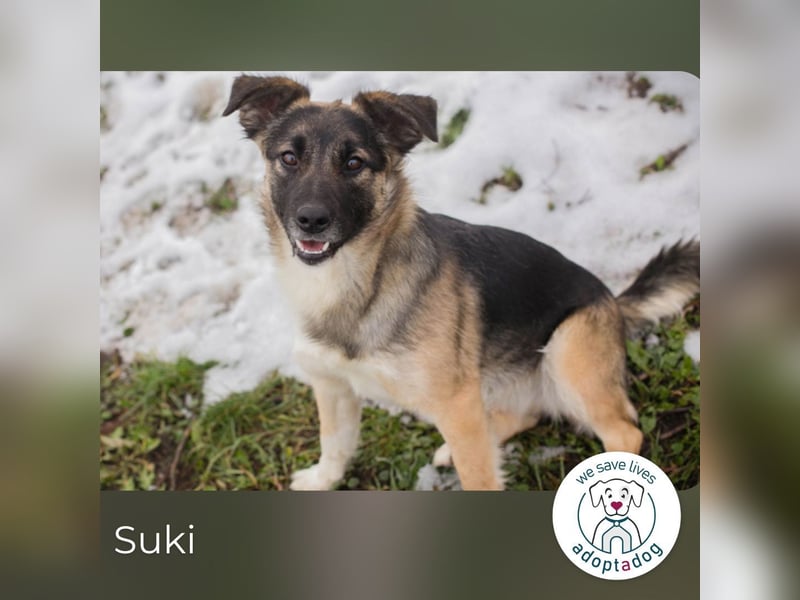 Suki: Name ist Programm - zum Lieben