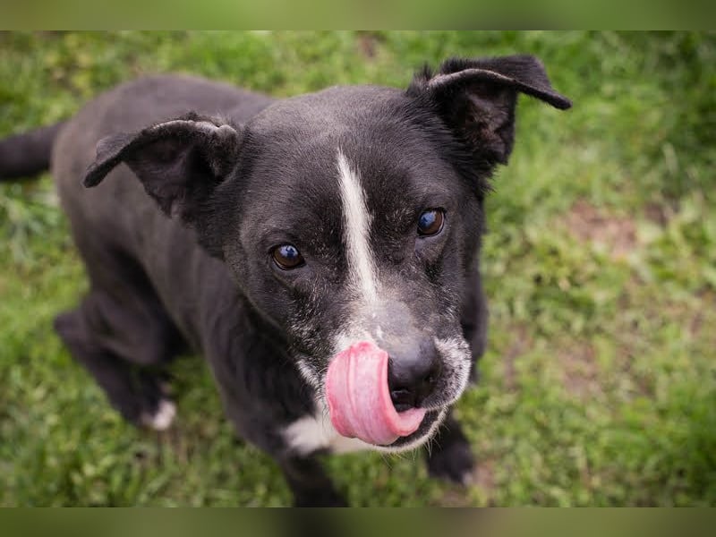 Sherlock: Ungebrochene Lebensfreude