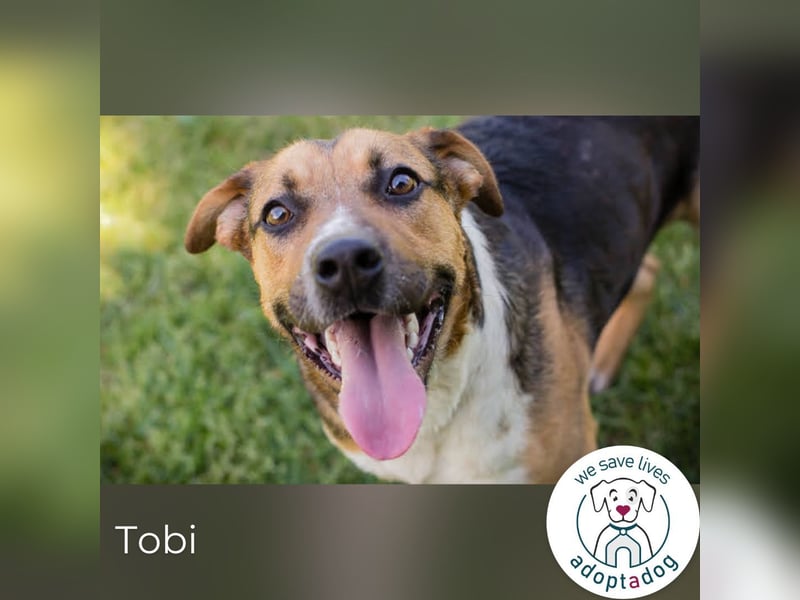 Tobi: Stark und sanft zugleich