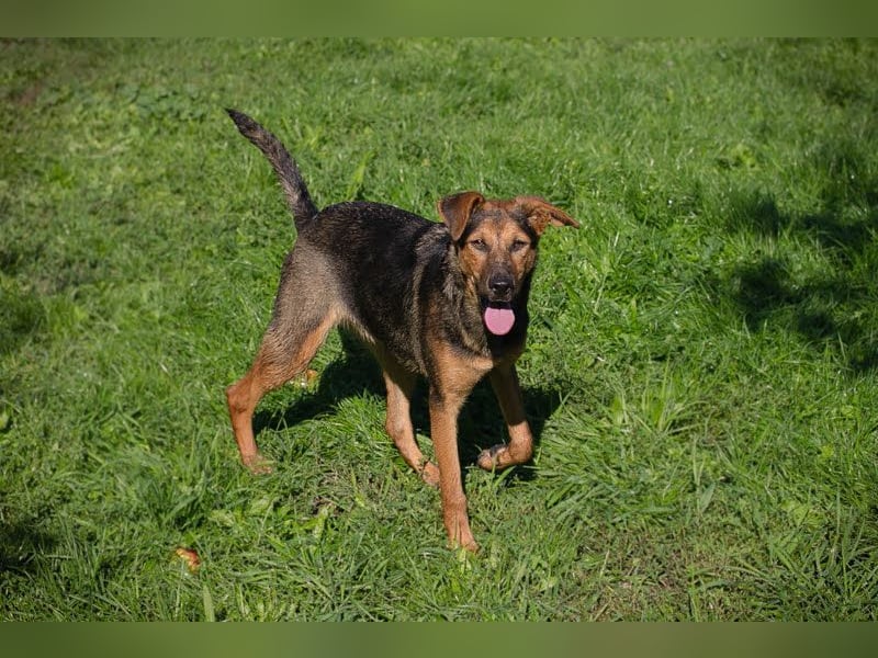 Stina – Königreich gesucht