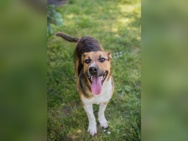 Tobi: Stark und sanft zugleich