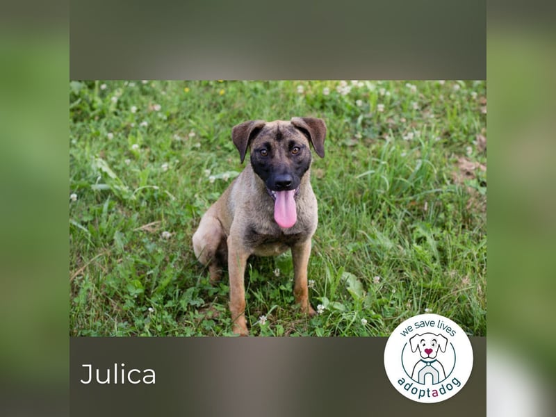 Julica: Volle Kraft voraus!