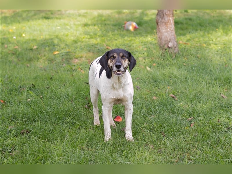 Yuna: Stets an deiner Seite