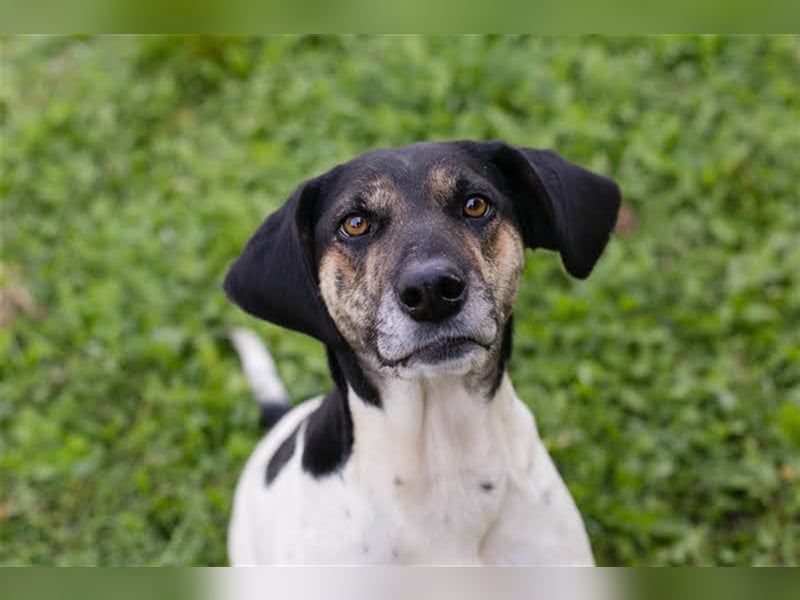 Yuna: Stets an deiner Seite