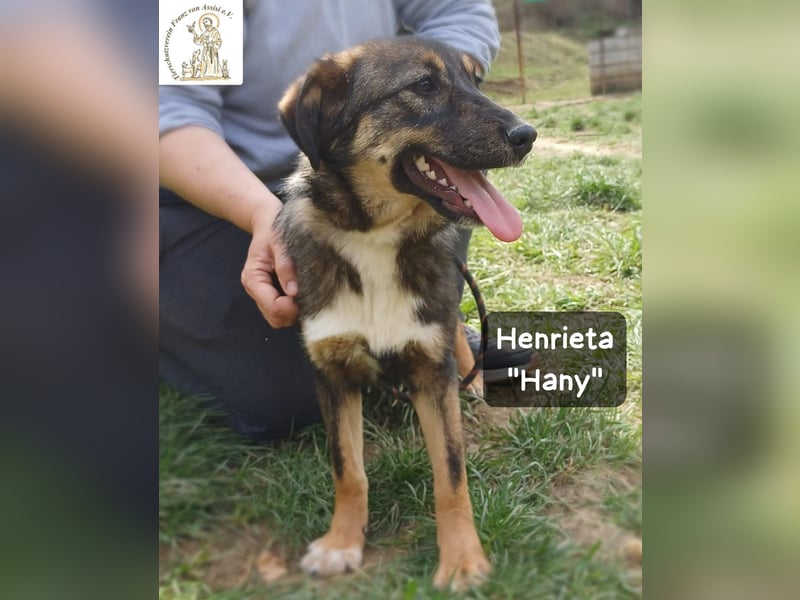Hany – neugierig, frech und unwiderstehlich!