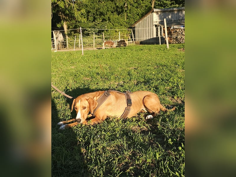 Lana – ein Leben im Radius von 80 Zentimetern!