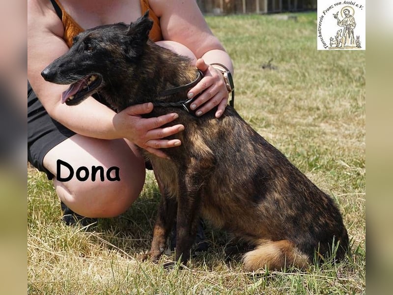 Dona – sucht ruhigen Hafen zum Seele baumeln lassen