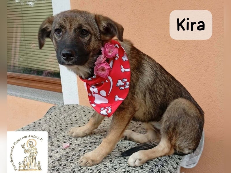 Kira – Warum nicht heute glücklich werden!