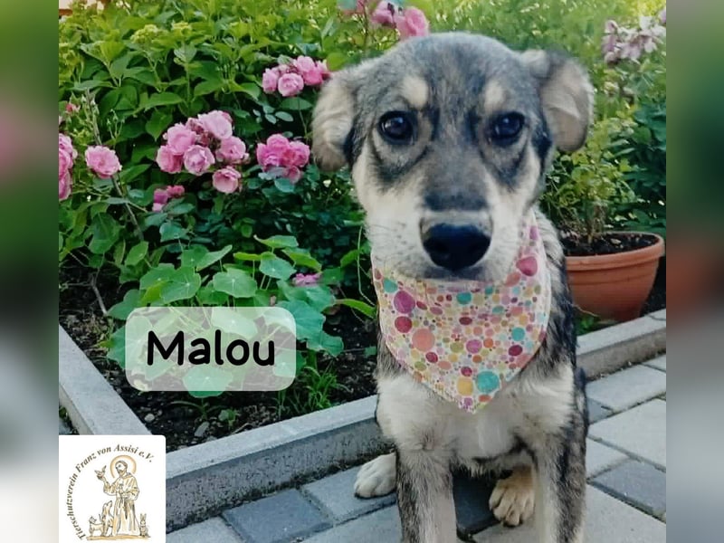 Malou – kleine Entdeckerin mit feinem Gespür!
