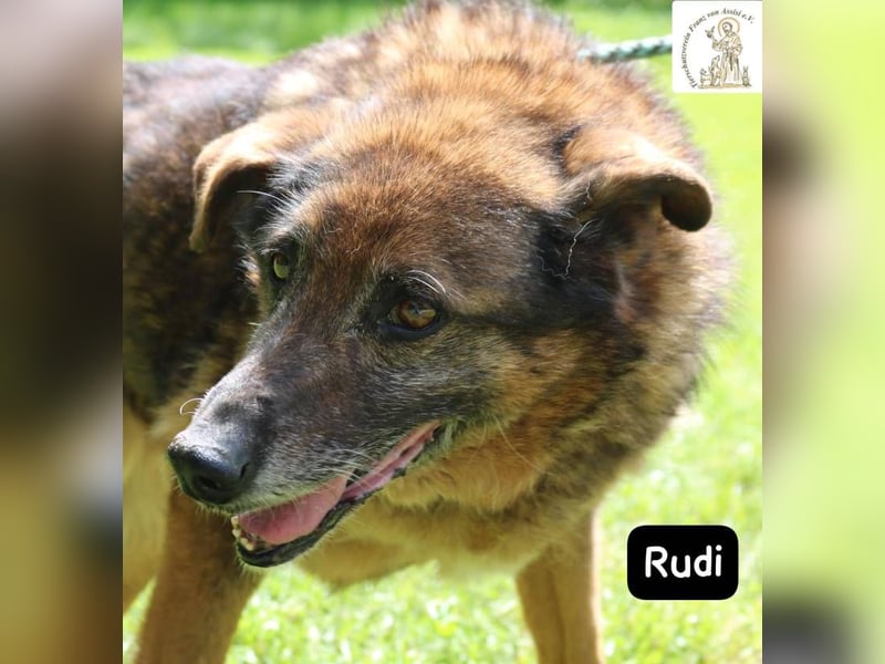 Oma Rudi – Eine ruhige Seele sucht ihr letztes Glück!