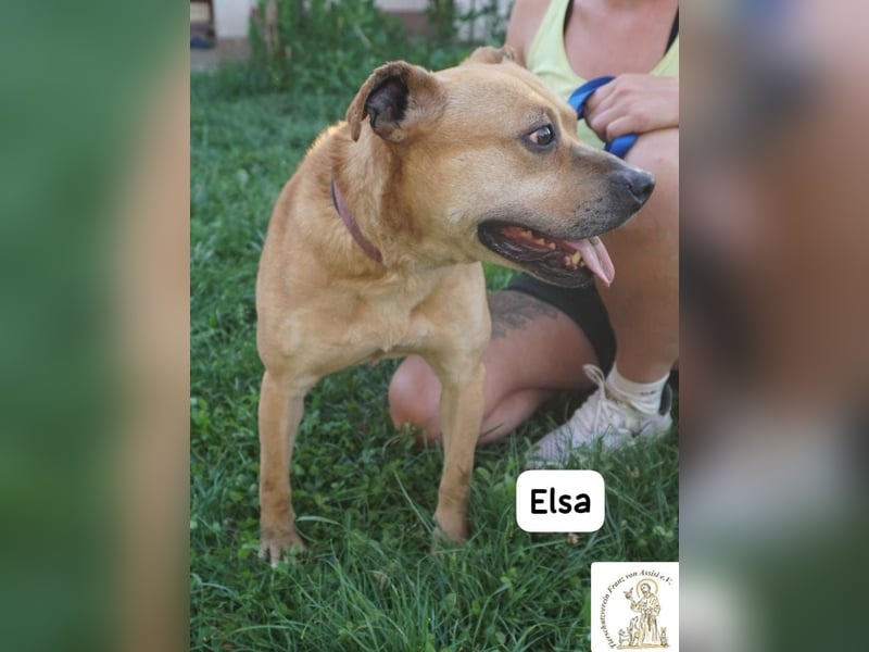 Elsa – Kuscheln, Freiheit und Abenteuer: Elsas Rezept fürs Glück!