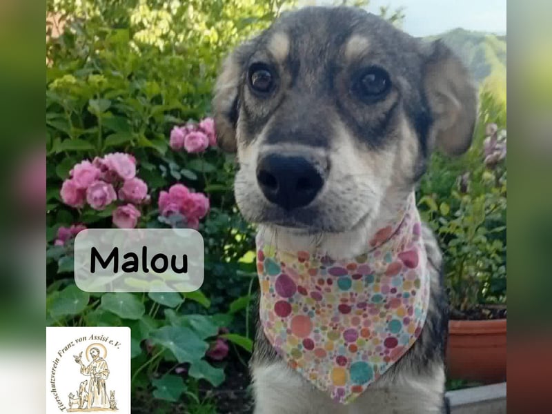 Malou – kleine Entdeckerin mit feinem Gespür!