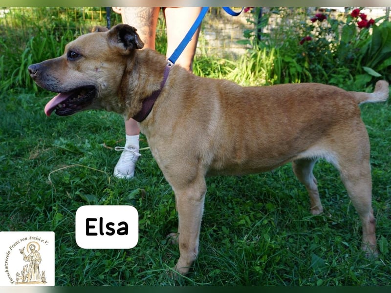 Elsa – Kuscheln, Freiheit und Abenteuer: Elsas Rezept fürs Glück!