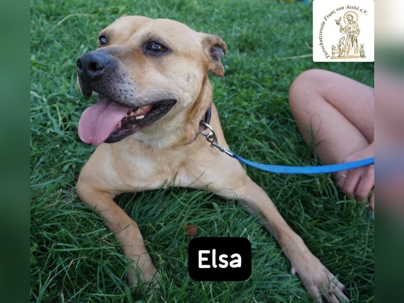 Elsa – Kuscheln, Freiheit und Abenteuer: Elsas Rezept fürs Glück!