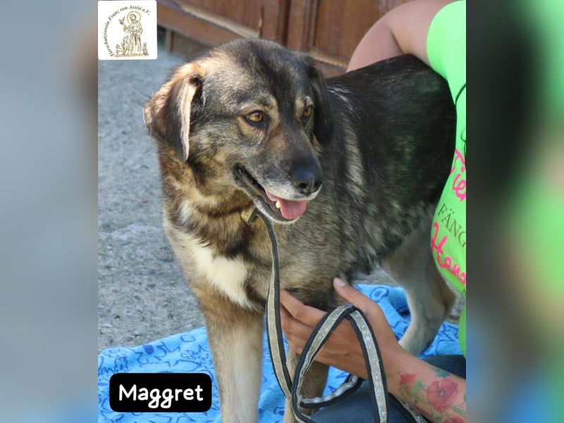 Maggret – ruhig, feinfühlig, zauberhaft und ein bisschen Magie auf vier Pfoten!