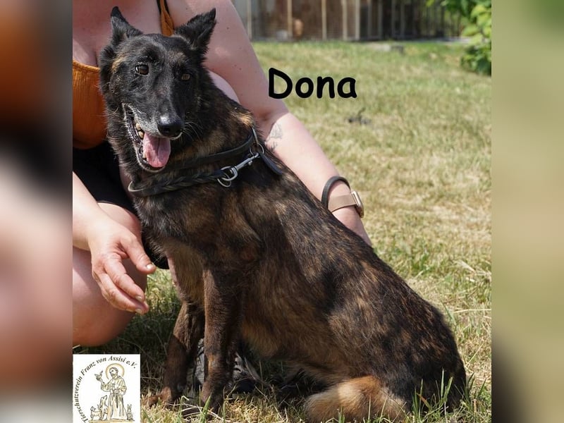 Dona – sucht ruhigen Hafen zum Seele baumeln lassen