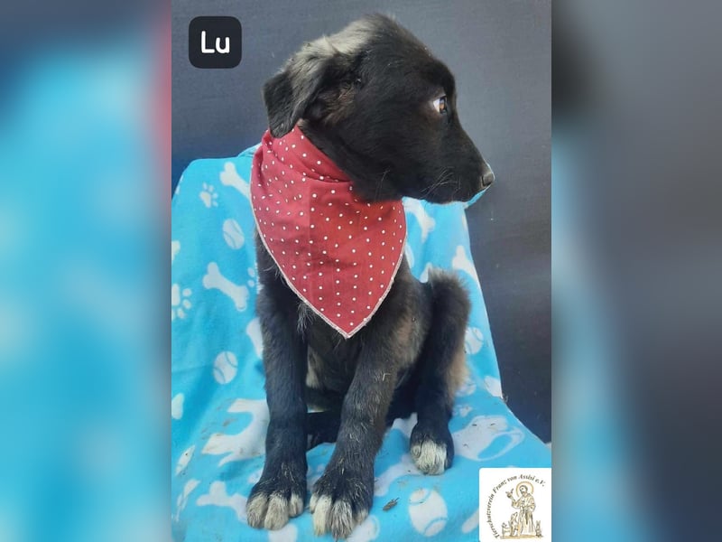 Lu – kleine Entdeckerin mit dem Kopf voller Ideen!