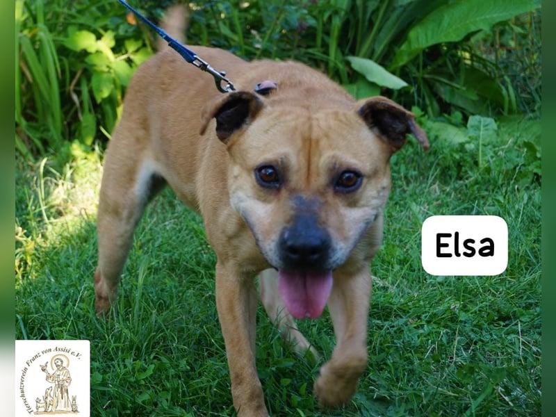 Elsa – Kuscheln, Freiheit und Abenteuer: Elsas Rezept fürs Glück!