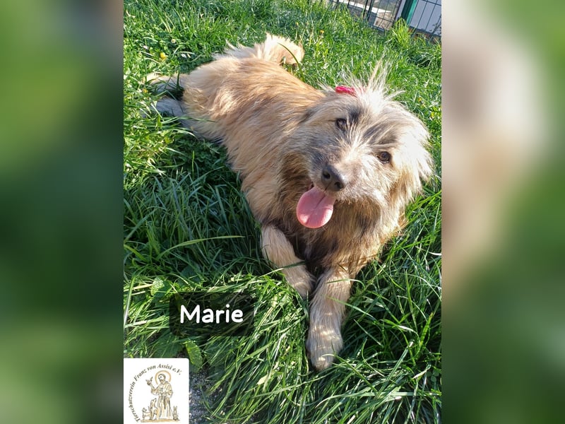 Marie – zu süß für diese Welt, aber kein bisschen aus Zucker!