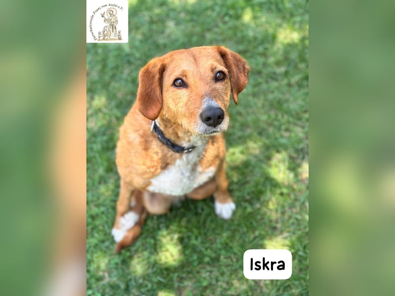 Iskra – Wenn Lebensmut Flügel bekommt!