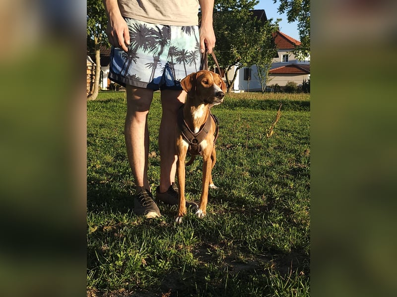Lana – ein Leben im Radius von 80 Zentimetern!