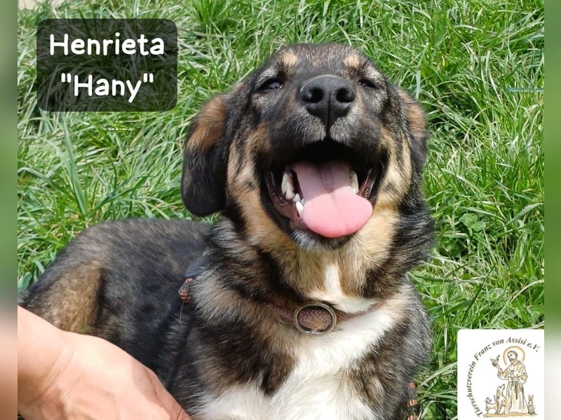 Hany – neugierig, frech und unwiderstehlich!