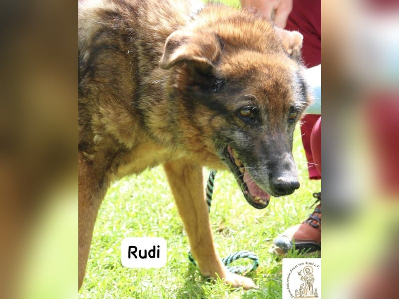 Oma Rudi – Eine ruhige Seele sucht ihr letztes Glück!