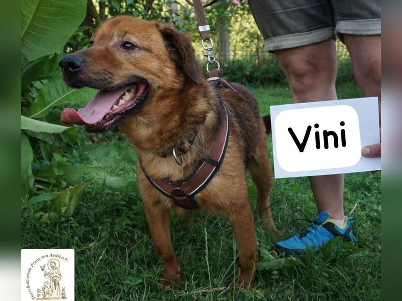 Vini – Mission Freiheit!