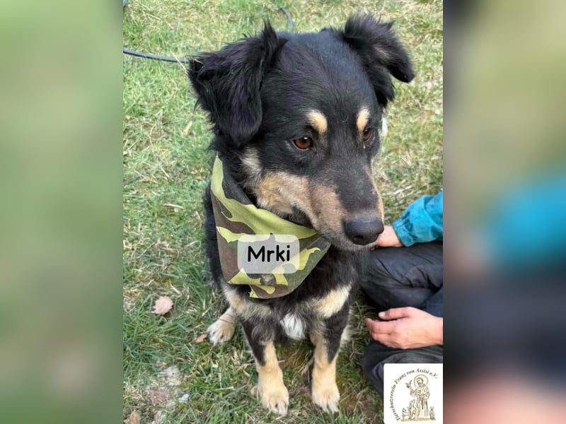 Mrki – ein sanfter Schatz mit großem Herzen!