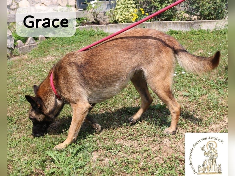 Grace – Köpfchen, Power und definitiv Pfeffer im Hintern!