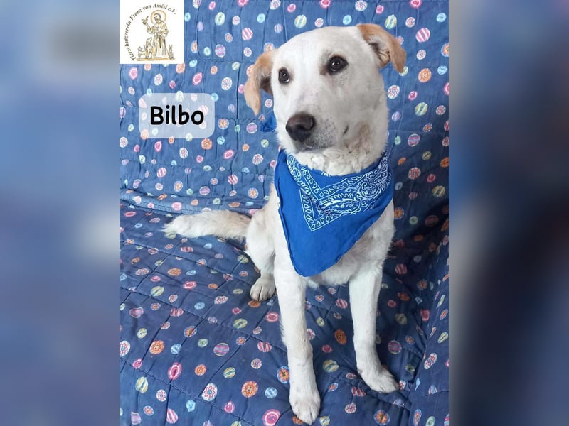 Bilbo – verliebt ins Leben und bereit für dich!