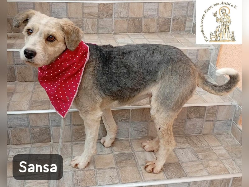 Sansa – der Neuanfang steht ihr einfach gut!