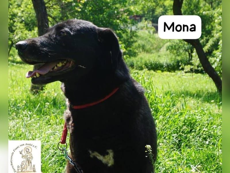 Mona – Die Lady mit dem gewissen Etwas!