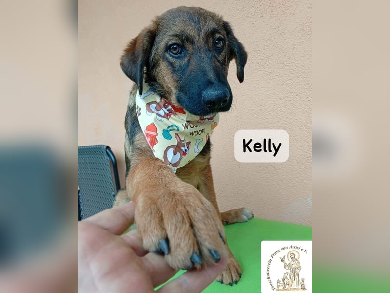 Kelly – Das Leben beginnt dort, wo Neugier auf Vertrauen trifft!