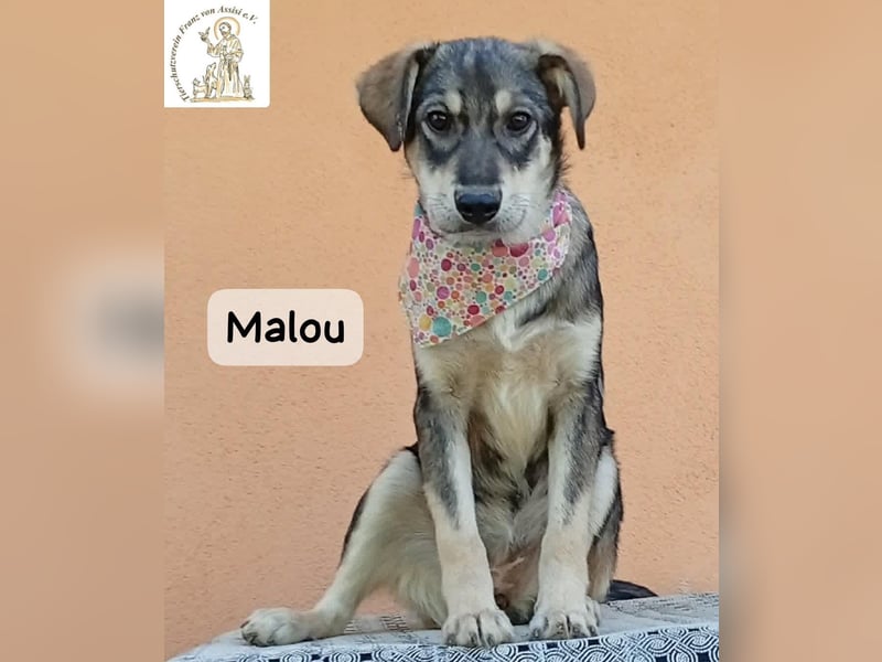 Malou – kleine Entdeckerin mit feinem Gespür!