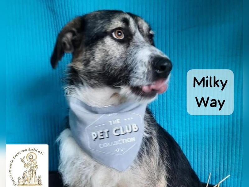 Milky Way – nicht laut, aber genau richtig!