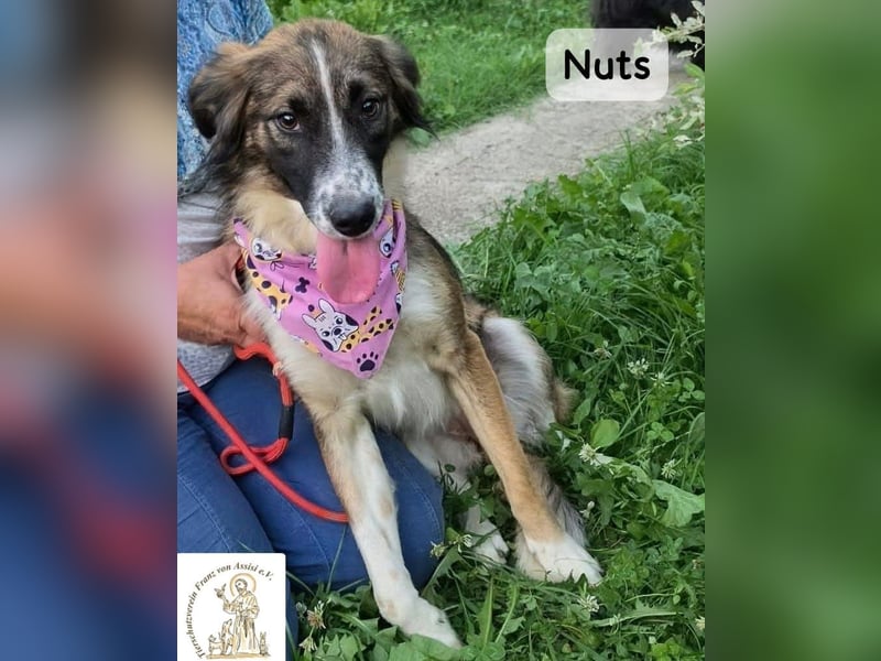 Nuts – manche Seelen tragen ihren Zauber ganz leise!