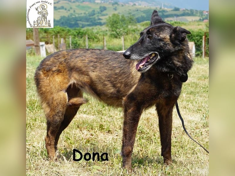 Dona – sucht ruhigen Hafen zum Seele baumeln lassen