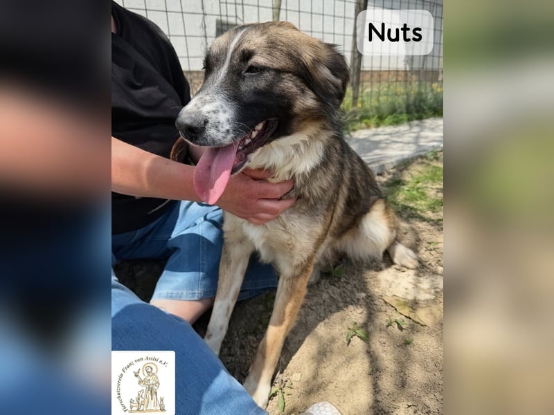 Nuts – manche Seelen tragen ihren Zauber ganz leise!