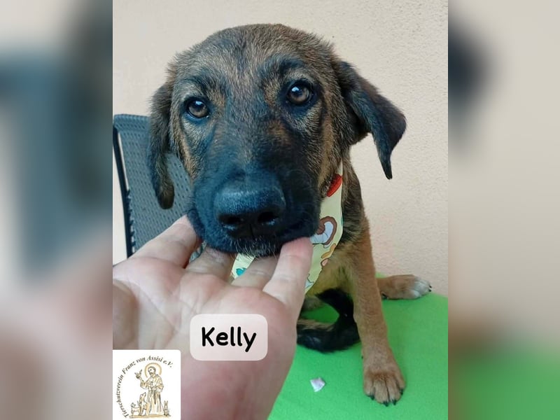 Kelly – Das Leben beginnt dort, wo Neugier auf Vertrauen trifft!
