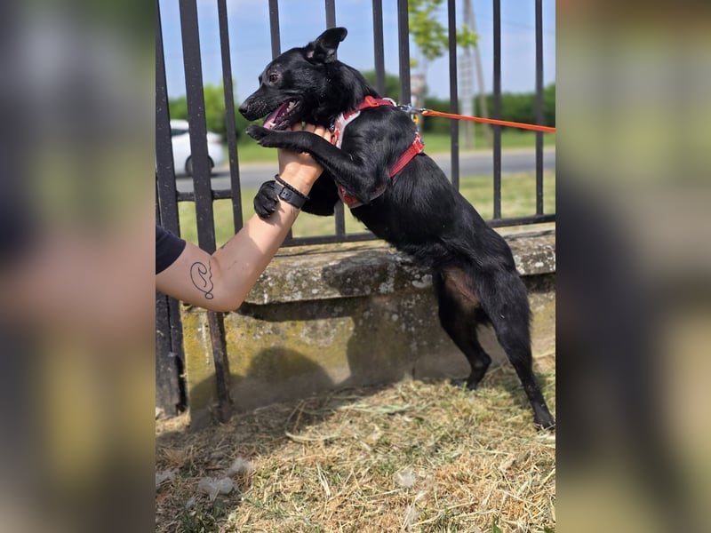 Tia ❤️sucht ihr erstes eigenes Zuhause