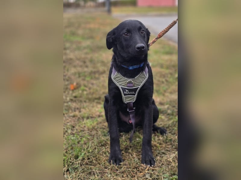 Odin ❤️ kleiner Held