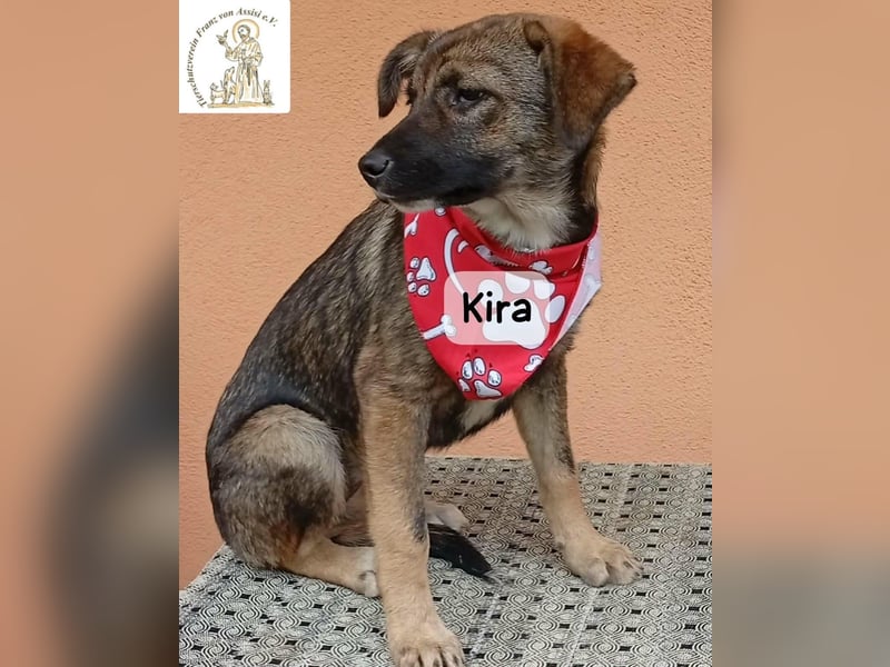 Kira – Warum nicht heute glücklich werden!